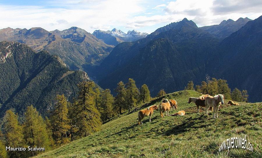 14 Scendendo alla Baita Croce di Monte Colle.JPG